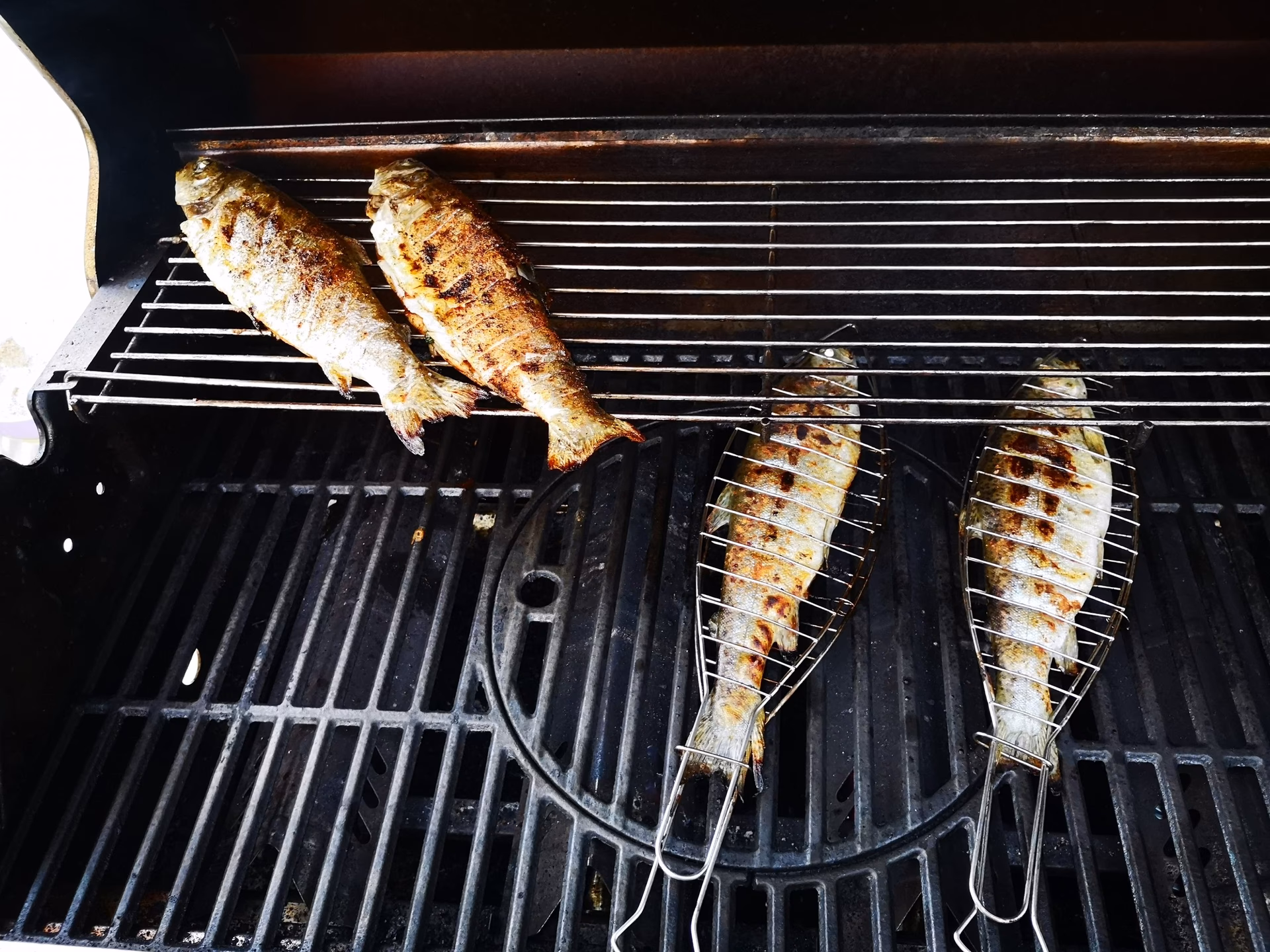 Wie bereite ich Forelle zu?