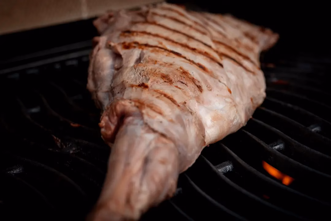 Was ist der Unterschied zwischen einem Frischling und einer Wildschweine?