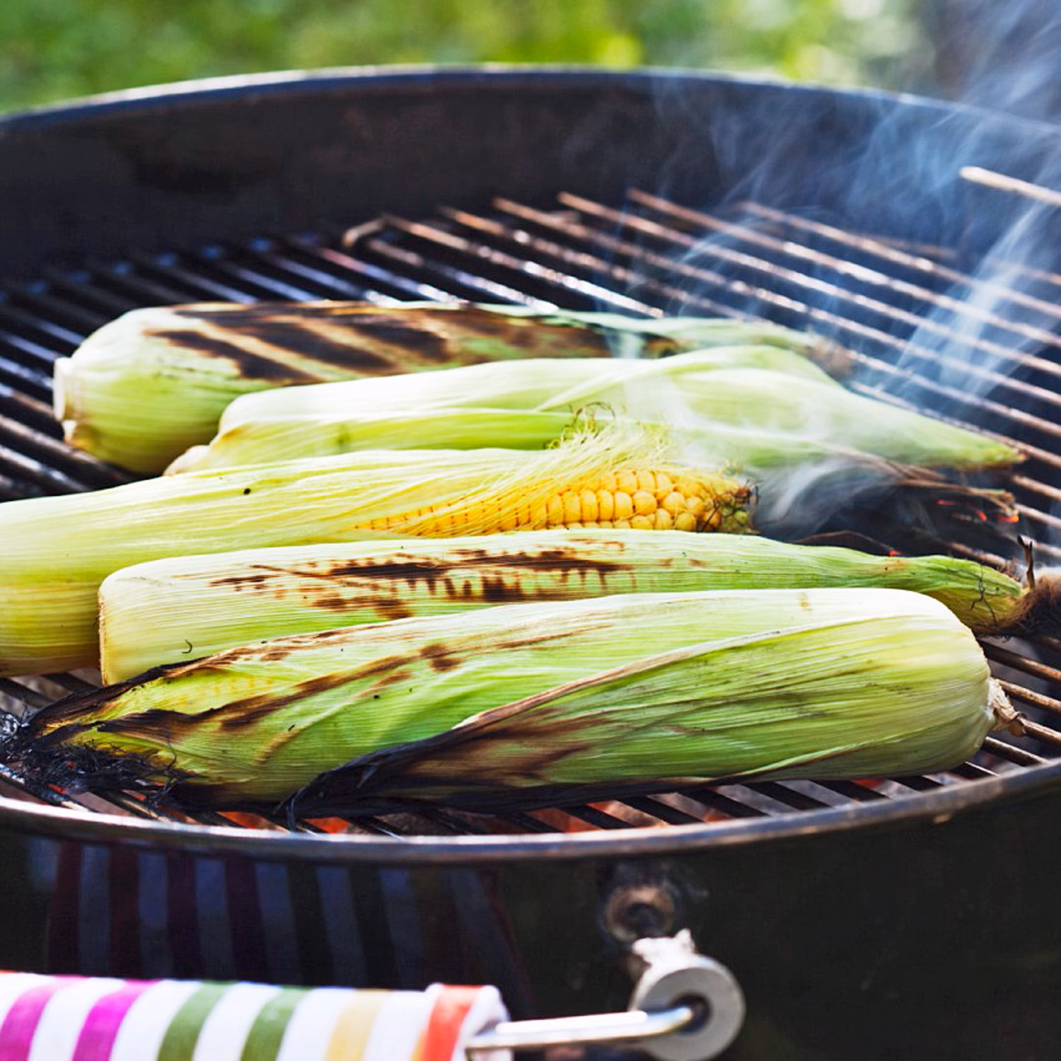 Wie pflegt man Zuckermais?